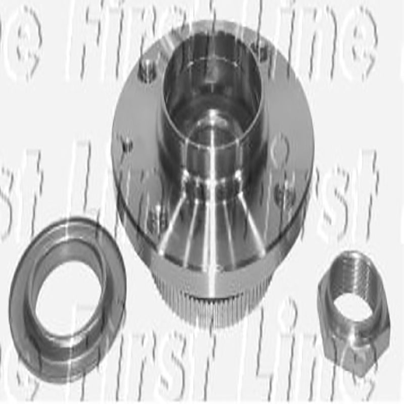 FBK330 Rear Wheel Bearing Kit