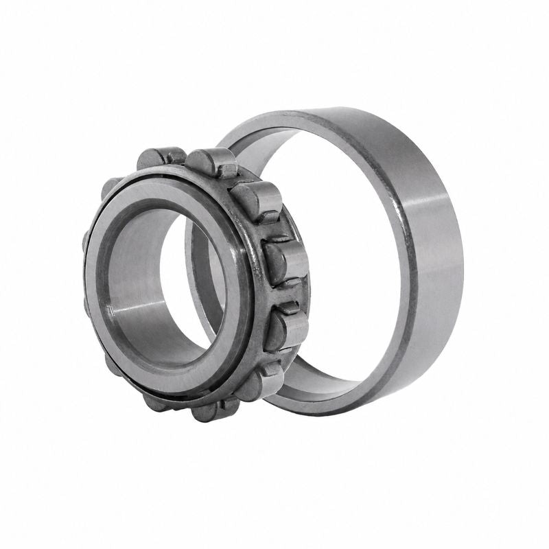 N236-E-M1 X-life Cylindrical Roller Bearing with Cage 180x320x52mm