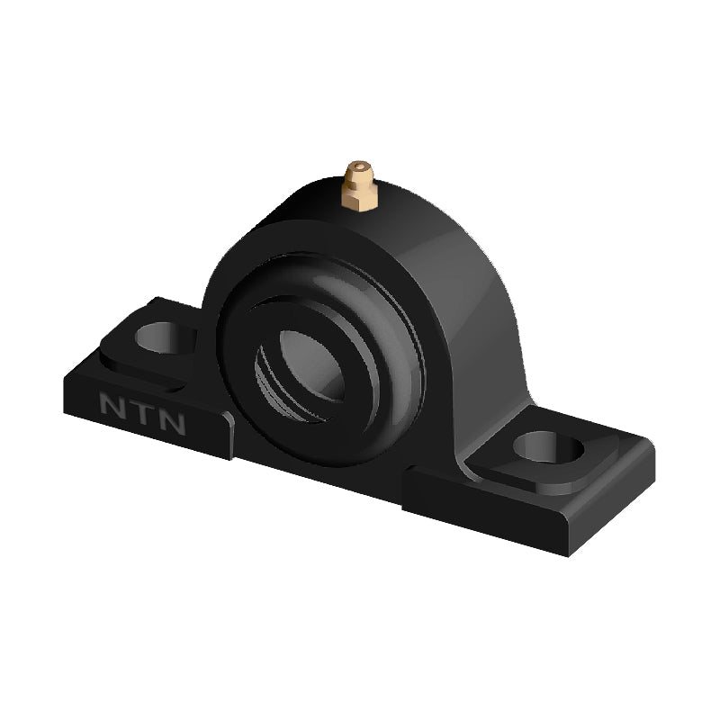 NTN S-UCPX06D1 Metric Cast Iron Two Bolt Pillow / Plummer Block Housing with 30mm Bore Insert with Steel Plate Cover - Open Version - Allow 2-3 Days