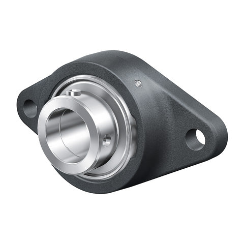 INA RCJT45XL Two Bolt Cast Iron Oval Housing with Eccentric Collar Insert 45mm Bore