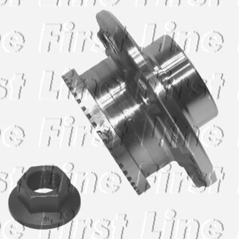 FBK311 Front Wheel Bearing Kit