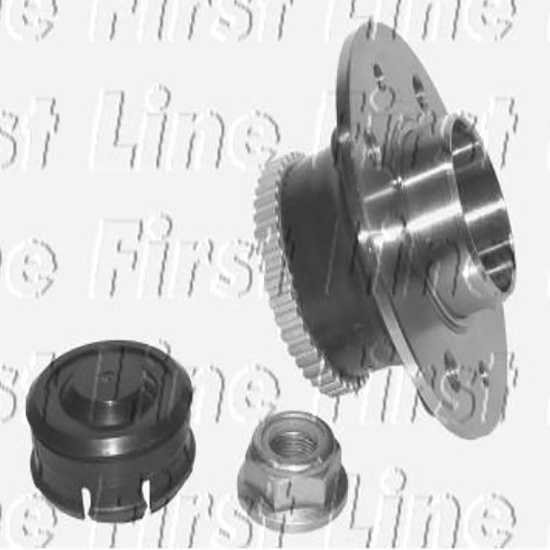 FBK987 Rear Wheel Bearing Kit