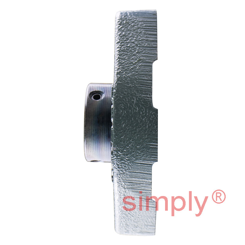 NTN M-ASFD205 Metric Two Bolt Oval Cast Iron Flange Housing with 25mm Bore Insert