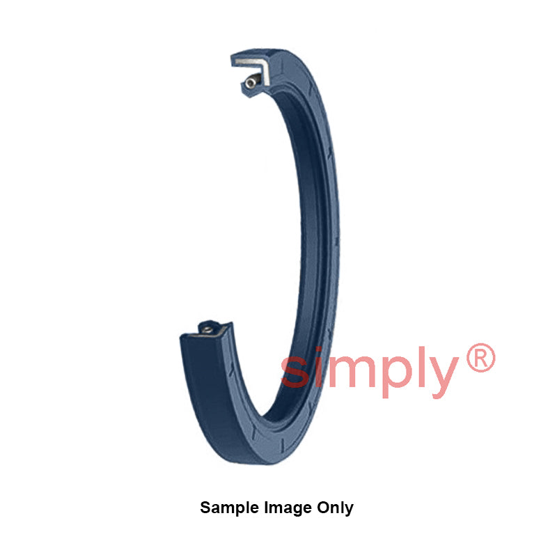 NAK 0.75x1.25x0.25 inch Blue Nitrile Rubber Double Lip Rotary Shaft Oil Seal with Garter Spring TC