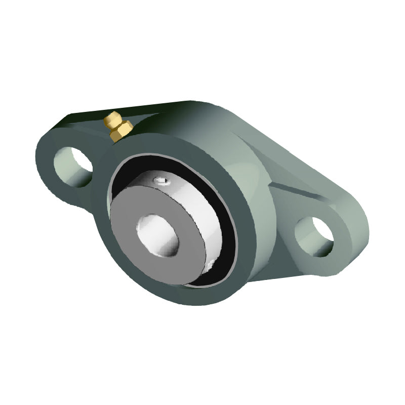 NTN UCFLX10-200D1 Imperial Two Bolt Oval Cast Iron Flange Housing with 2 inch Bore Insert - Allow 2-3 Days