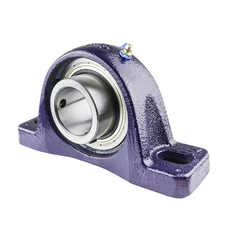 RHP SL16EC Two Bolt Cast Iron Pillow Block and 16mm Bore Eccentic Collar Flat Back Insert