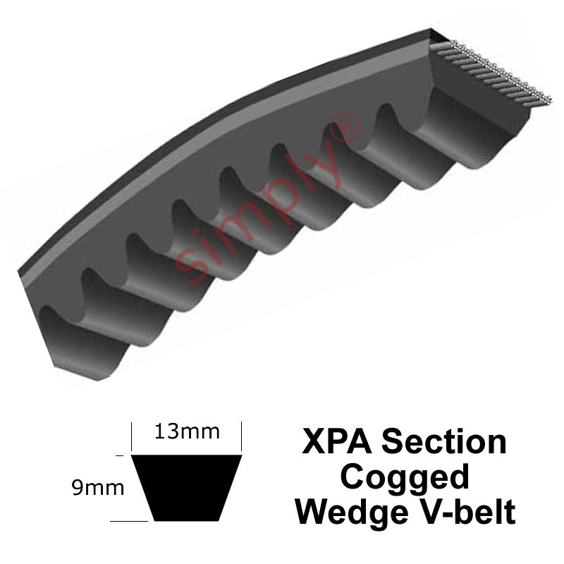 XPA610 Pix XPA-Section Muscle Cogged V-Belt